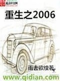 重生之2006 雨去欲续 小说