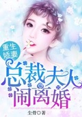 重生将军夫人闹离婚txt