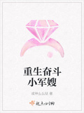 重生小军嫂苏若韩则成