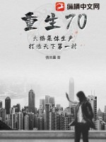 重生70：大搞集体生产,打造天下第一村