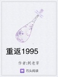 重返1995小说