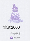 重返2000 小说