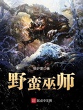 野蛮巫师完结
