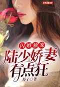 闪婚独宠