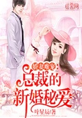 闪婚神秘总裁叶少辰