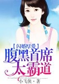 闪婚厚爱首席老公太腹黑 小说