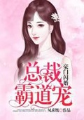 闪婚总裁超霸道