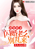 闪婚老公别乱来