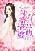 闪婚老婆有点萌