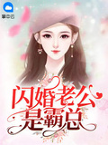 闪婚萌妻:神秘老公