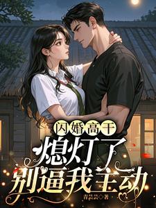 闪婚高干：熄灯了,别逼我主动