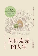 闪闪发光的人生