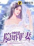 陆少的隐婚甜妻陆宴霆