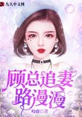 陆总追妻路漫漫电视句