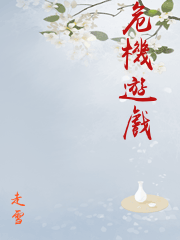 雪影游戏