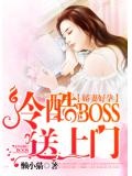 霸上高冷boss：甜妻好孕成双