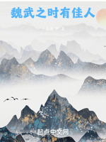 魏武之时有佳人