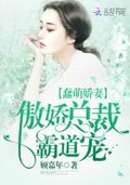 顾总的二婚娇妻霸道总裁