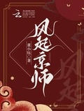 风起京师免费观看