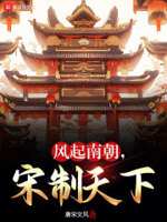 风起南朝,宋制天下