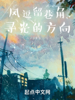 风逗留巷角,寻光的方向