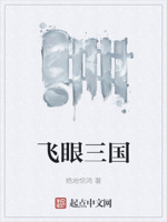 飞眼三国