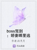 高冷BOSS傲娇妻：宝贝哪里跑