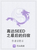 高达SEED之最后的归宿