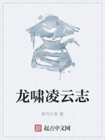 龙啸凌云志