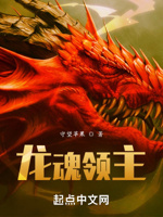 龙魂领主