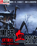 黑暗血时代顶点