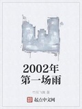 2002年的那一场雪