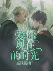 [哈利波特]爱你现在的时光