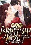 [综漫] 和hiro闪婚后我拼命捂马甲