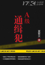 a级通缉犯