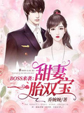 boss来袭甜妻一胎双宝笔趣阁