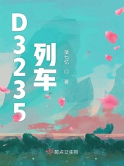 d3235列车