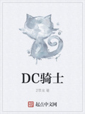 dc泰德