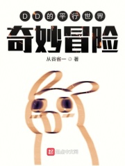 dd的平行世界奇妙冒险