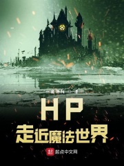 hp走近魔法世界