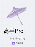 mi圈铁耳机pro