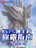 npc的全称