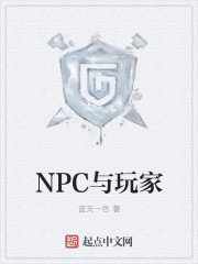 npc与玩家