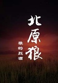 rw黎明