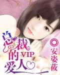 vip完美